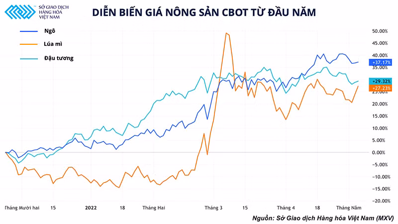 Rủi ro thời tiết đối với vụ ngô thứ 2 của Brazil đang là nỗi lo ngại của ngành chăn nuôi nước ta -0