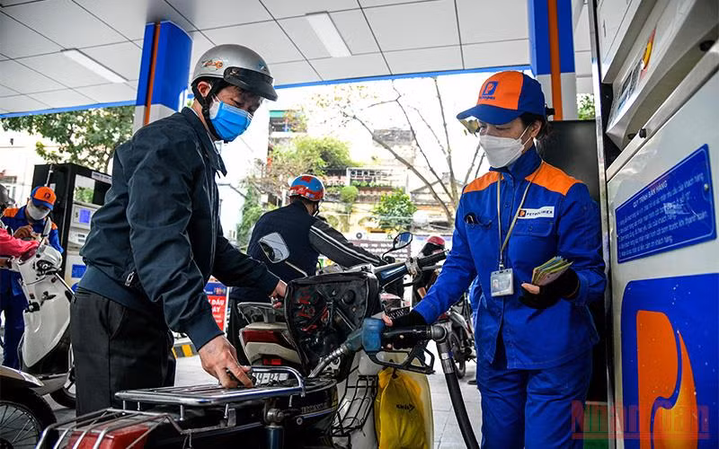 (Ảnh minh họa: THÀNH ĐẠT)