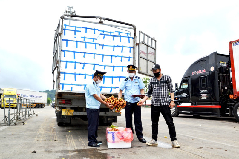 Vải thiều Bắc Giang xuất khẩu sang thị trường tỉnh Vân Nam (Trung Quốc). (Ảnh: QUỐC HỒNG) Bài 4: Nỗ lực vượt khó -0