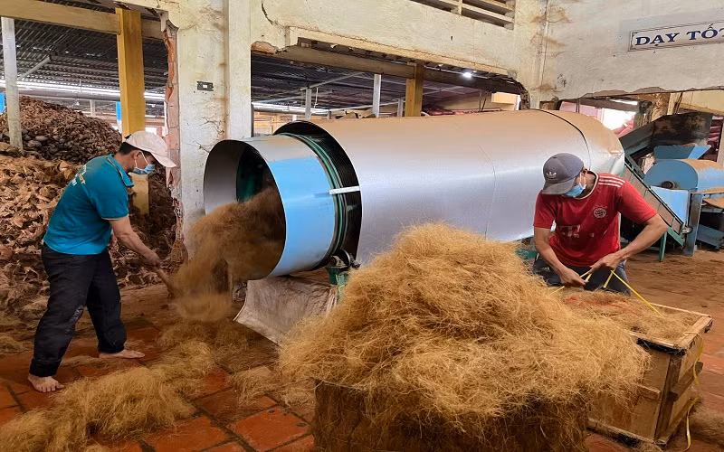 Hợp tác xã nông nghiệp Định Thủy giải quyết việc làm cho nhiều lao động ở nông thôn.
