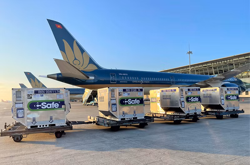 Vietnam Airlines phục hồi giao thương, sát cánh cùng đất nước trong đại dịch