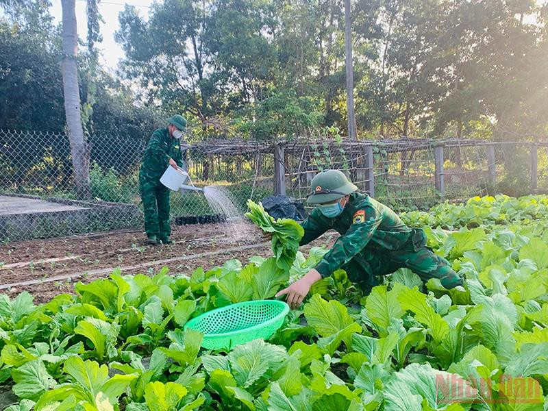 Tăng gia sản xuất ở Đồn Biên phòng Ea H’leo. Vững vàng nơi biên cương -0