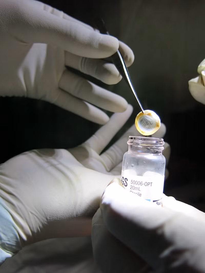 Những chuyến đi “lưu giữ ánh sáng” cho đời -0