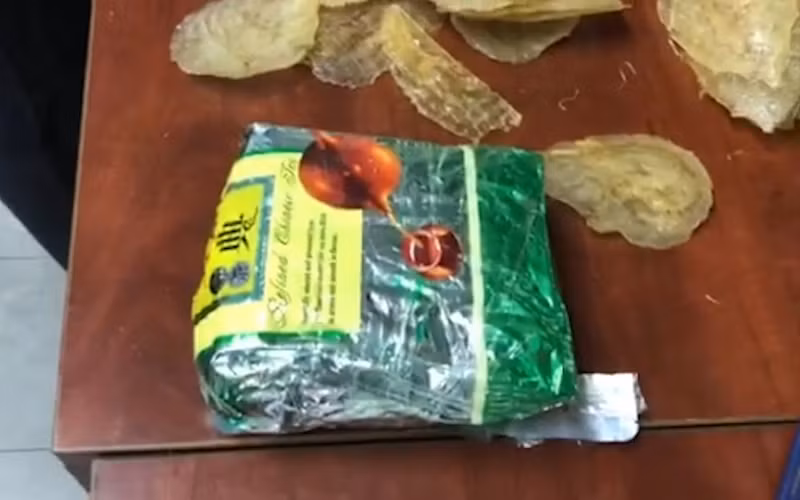 Ma túy được giấu tinh vi trong những gói cá khô xuất khẩu.