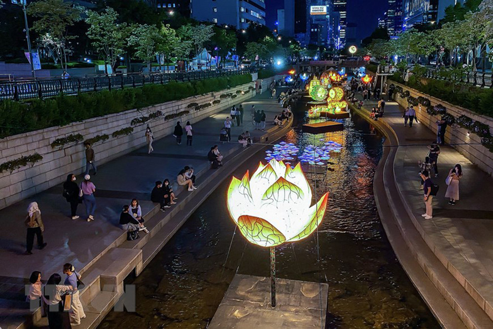Đèn lồng hoa Sen nổi bật trên dòng suối Cheonggye. Triển lãm đèn lồng truyền thống Seoul mừng Đại lễ Phật đản -0