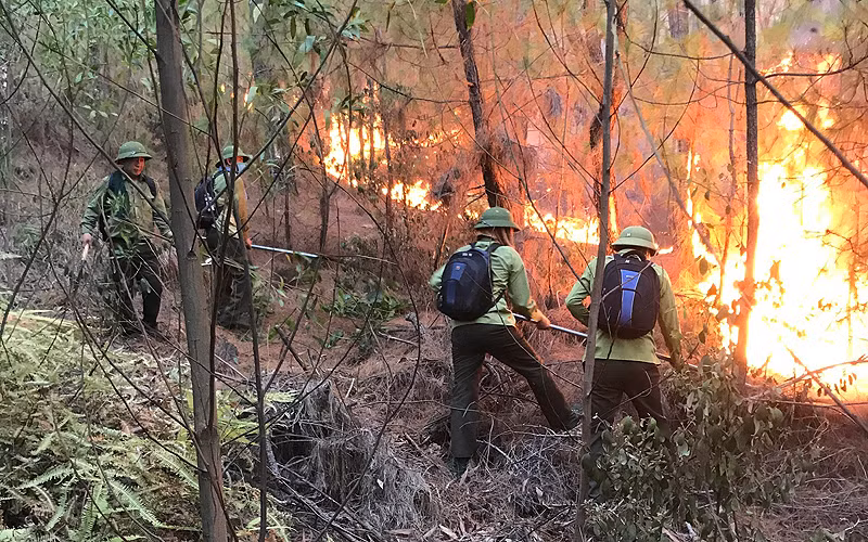 Nghệ An: Nỗ lực dập tắt đám cháy rừng tại Hưng Nguyên -0