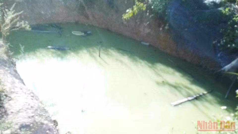 Nơi cháu Đặng Quầy Liêm bị té xuống đuối nước.