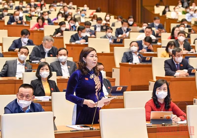 Kiên trì chính sách khoan sức dân, nuôi dưỡng nguồn thu -0