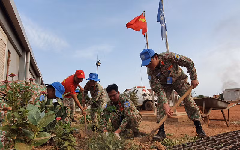 Cán bộ, y, bác sĩ, nhân viên Bệnh viện dã chiến cấp 2 số 3 và số 4 của Việt Nam tích cực tham gia trồng cây xanh tại căn cứ Bentiu, Nam Sudan. (Ảnh: Nguyễn Đảm)