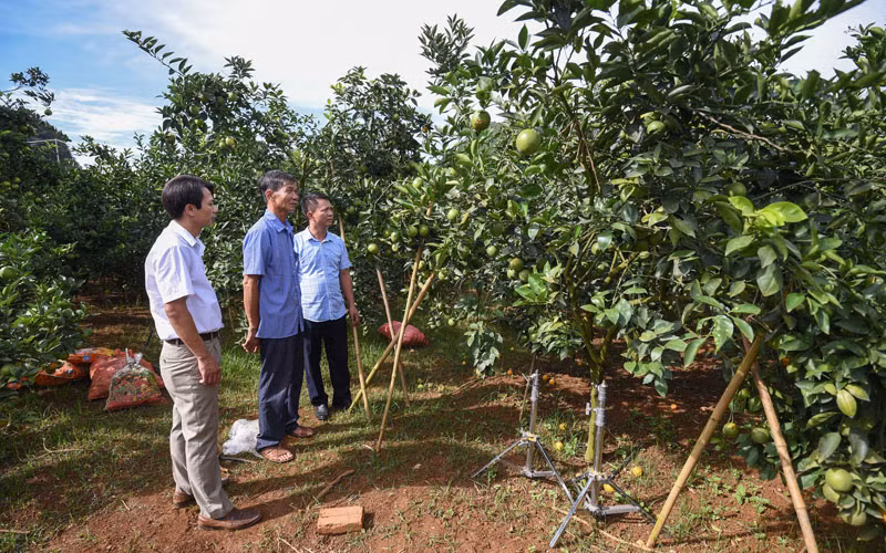 Nhà máy chế biến hoa quả tươi và thảo dược hiện đại nhất ở Sơn La đi vào hoạt động -0