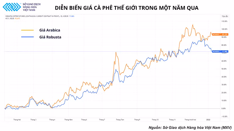 Trước khi tới tay chúng ta, hạt cà-phê đã “lăn” qua rất nhiều câu chuyện -0