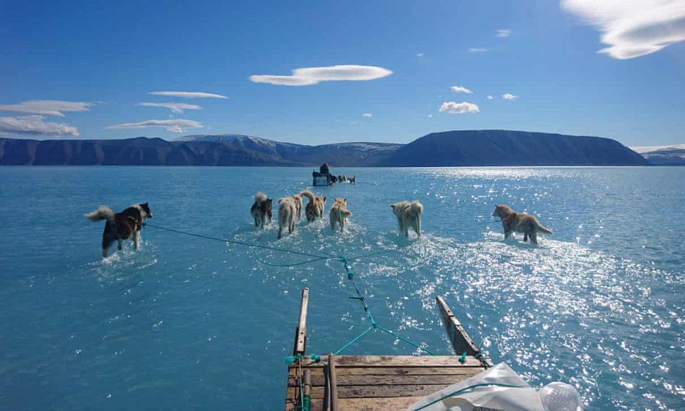 Những chú chó Husky đã lội qua biển băng trong một chuyến thám hiểm ở Greenland. Ảnh: Getty Images. Trái đất đã mất 28 nghìn tỷ tấn băng trong 23 năm qua -0