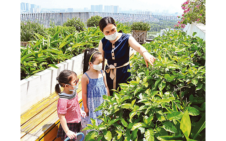 Trong kỳ nghỉ hè mùa Covid-19, cha mẹ cần sắp xếp cho trẻ có khoảng thời gian hoạt động ngoài trời một cách an toàn để vừa giúp trẻ tăng cường sức đề kháng vừa mở mang hiểu biết về thiên nhiên. Ảnh: ĐĂNG KHOA