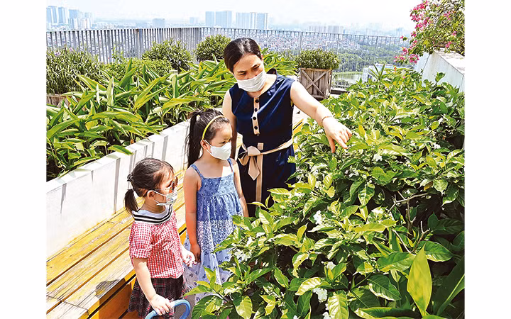 Trong kỳ nghỉ hè mùa Covid-19, cha mẹ cần sắp xếp cho trẻ có khoảng thời gian hoạt động ngoài trời một cách an toàn để vừa giúp trẻ tăng cường sức đề kháng vừa mở mang hiểu biết về thiên nhiên. Ảnh: ĐĂNG KHOA