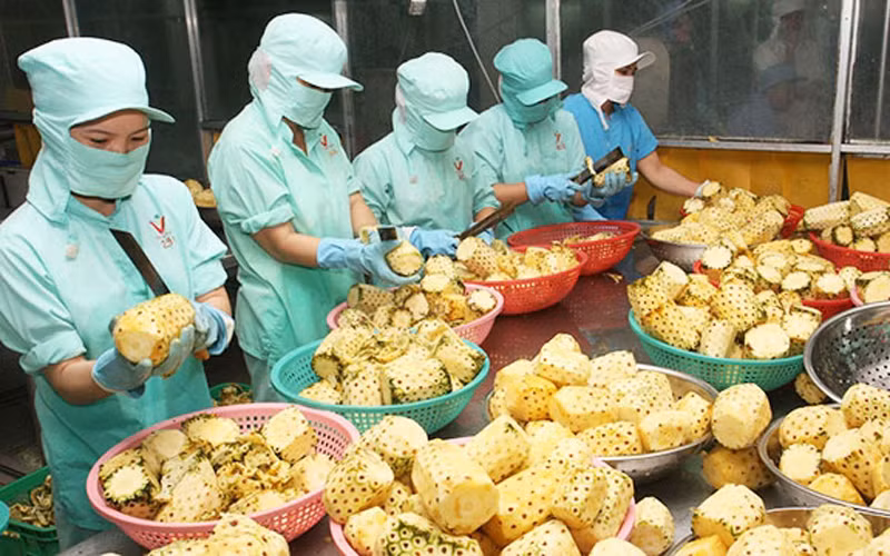 Chế biến nông sản xuất khẩu.