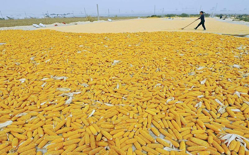 Ảnh minh họa. (Ảnh: Reuters)