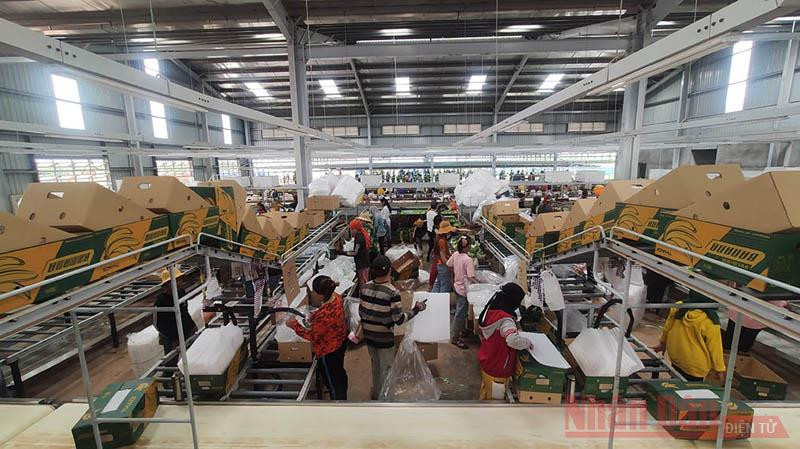 Doanh nghiệp Việt Nam tại Campuchia tạo nhiều việc làm cho người lao động. Chung tay giúp bà con gốc Việt vùng Biển Hồ chuyển đổi nghề nghiệp -0