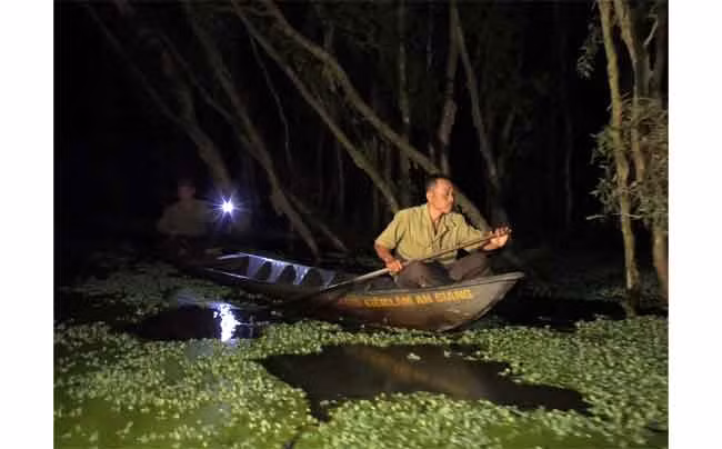 Đội chống “cò tặc” tuần tra đêm để ngăn chặn xâm nhập rừng trái phép tại rừng tràm Trà Sư (Tịnh Biên, An Giang). Ảnh: MỸ HẠNH