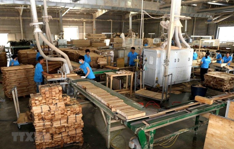 Tám tháng đầu năm 2021, xuất khẩu gỗ và lâm sản ước đạt 11,2 tỷ USD, tăng 42,7% so với cùng kỳ năm 2020. (ảnh TTXVN)