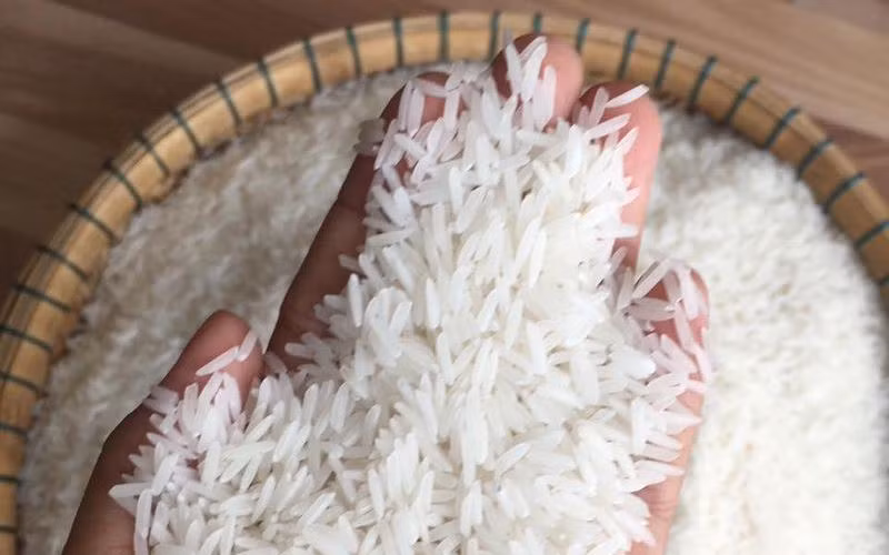 Công văn số 6195/BCT-AM cho biết, 1 lô gạo thơm giống ST25 hiệu Nữ hoàng tại Bỉ có mức dư lượng thuốc bảo vệ thực vật tricyclazole là 0,017 mg/kg. (Ảnh minh họa)