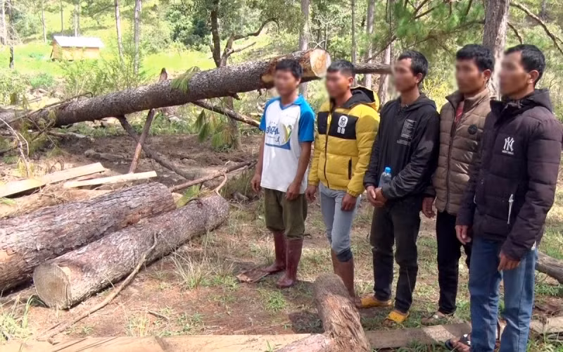 Khởi tố một bị can và triệu tập nhiều đối tượng liên quan vụ phá rừng phòng hộ -0
