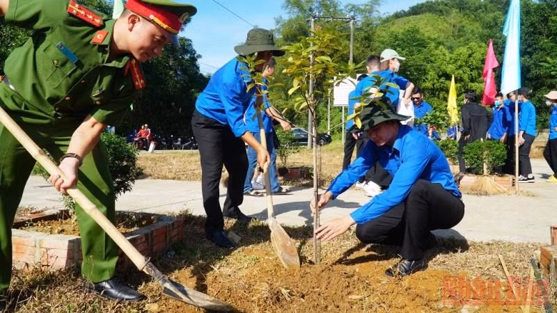 Nhiều hoạt động tình nguyện hè của tuổi trẻ Thừa Thiên Huế -0