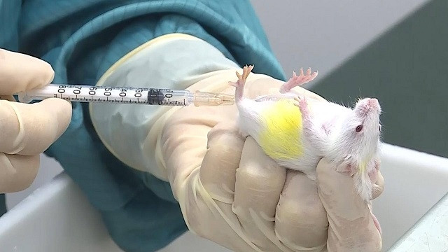 Vaccine Covid-19 thử nghiệm trên chuột của Vabiotech đã có đáp ứng miễn dịch.