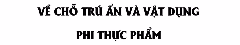 Những nhu cầu cấp thiết của người dân miền trung sau lũ -0