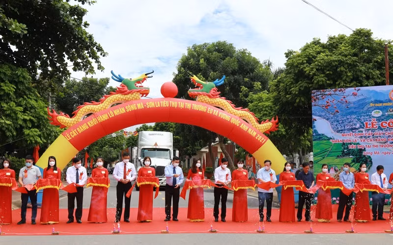 Cấp Giấy chứng nhận đăng ký nhãn hiệu “nhãn Sơn La” -0