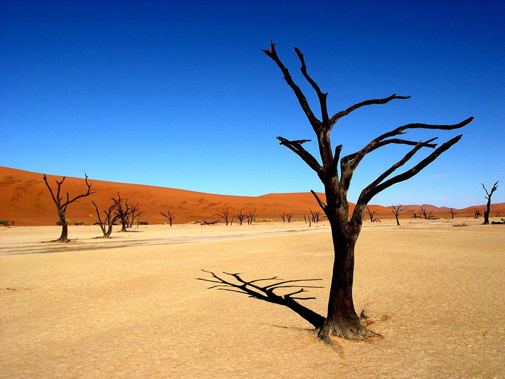 Khách quốc tế có thể trở lại sa mạc ngoạn mục Namibia từ 1-9 -0