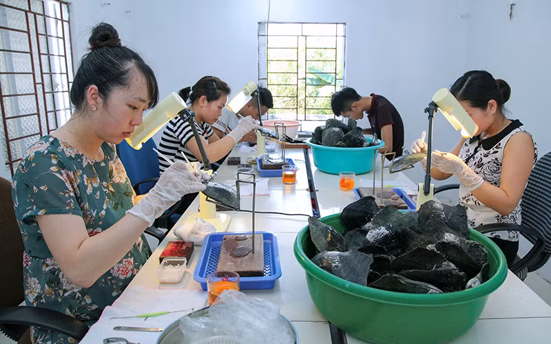 Mô hình nuôi trai nước ngọt lấy ngọc của anh Nguyễn Văn Tùng (xã Hướng Đạo, huyện Tam Dương, tỉnh Vĩnh Phúc) cho thu lãi mỗi năm hơn 300 triệu đồng. (Ảnh KHÁNH LINH)