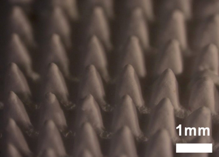 Miếng dán chứa 100 microneedles. Ảnh: Đại học Tokyo. Miếng dán chứa gai siêu nhỏ thử đường huyết không đau -0