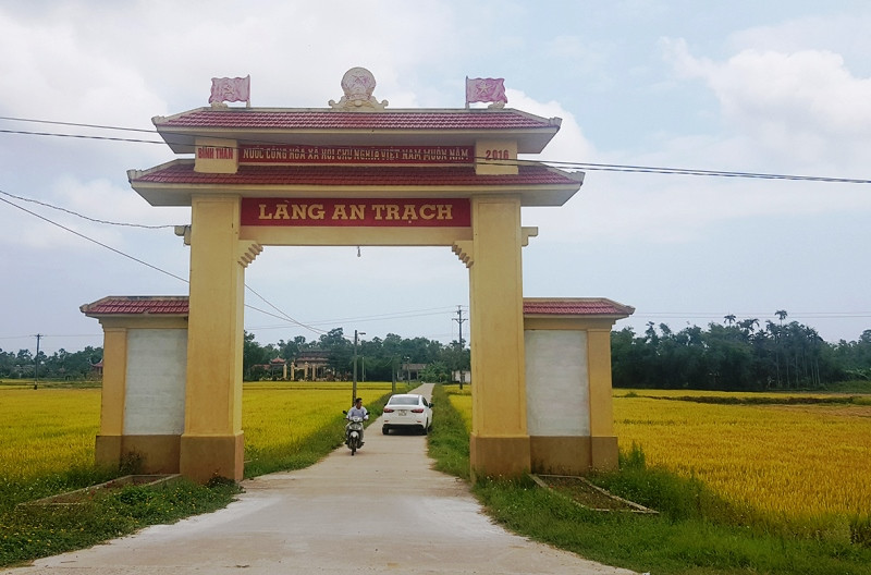 Những cánh đồng lúa được mùa chín vàng ở Quảng Trị. Niềm vui trên những cánh đồng Quảng Trị -0