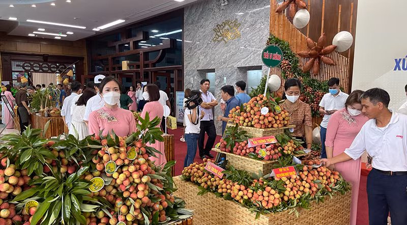 Vải Thiều Thanh Hà - tinh hoa văn hóa Xứ Đông -0