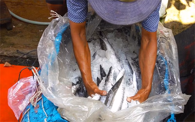 Nhớ mùi cá khô dân dã -0