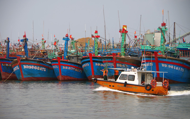 Tàu thuyền vào khu neo đậu tránh trú bão an toàn. Bình Định chủ động ứng phó bão số 6 -0