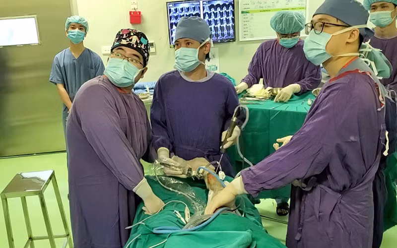 Các bác sĩ phẫu thuật cho bệnh nhân. 