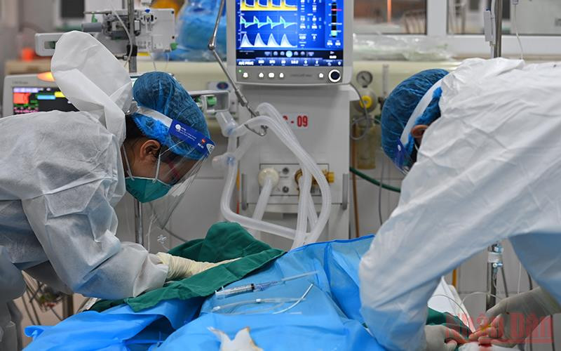 Các nhân viên y tế Bệnh viện Bệnh Nhiệt đới Trung ương chăm sóc nhiều ca bệnh nặng, nguy kịch. (Ảnh: THÀNH ĐẠT) Mùa xuân tại các bệnh viện dã chiến -0