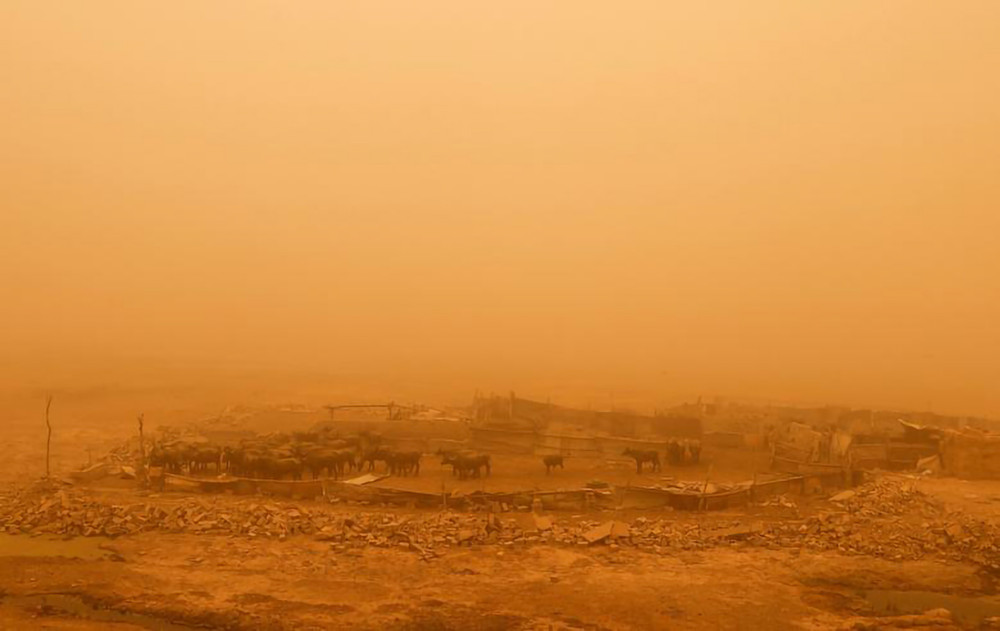 Iraq là một trong những quốc gia dễ bị tổn thương nhất thế giới bởi biến đổi khí hậu và tình trạng sa mạc hóa. Bão cát Iraq -0