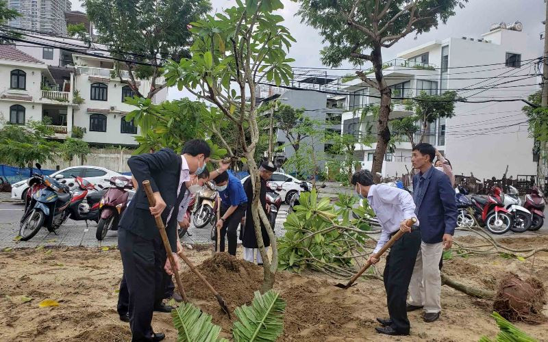 Trồng 4.000 cây xanh trong khu dân cư ở Đà Nẵng | Báo Nhân Dân điện tử