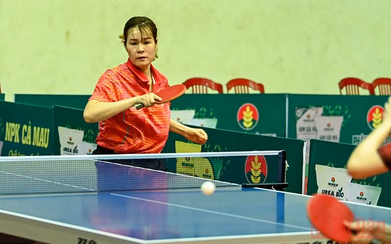 Hà Nội và Đà Nẵng thể hiện sức mạnh vượt trội -3