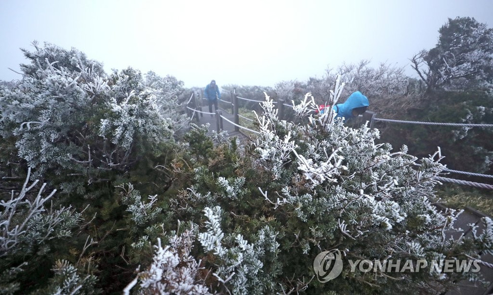 Băng giá trên núi Halla ở đảo Jeju. (Ảnh: Yonhap) Băng giá xuất hiện giữa mùa thu ở Hàn Quốc -0