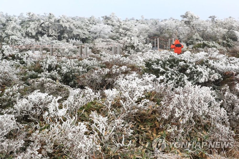 Băng giá trên núi Halla ở đảo Jeju. (Ảnh: Yonhap) Băng giá xuất hiện giữa mùa thu ở Hàn Quốc -0