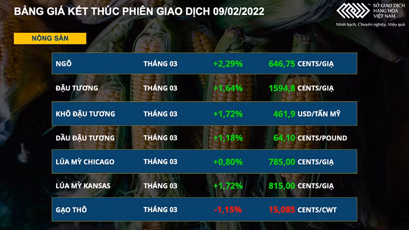 Thị trường nông sản khởi sắc mạnh mẽ, giá heo hơi nội địa tăng rải rác ở một số tỉnh -0