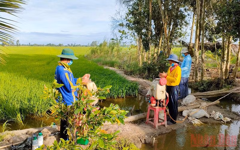 Hỗ trợ các tỉnh phía nam ổn định sản xuất trong bối cảnh dịch Covid-19 còn diễn biến phức tạp.