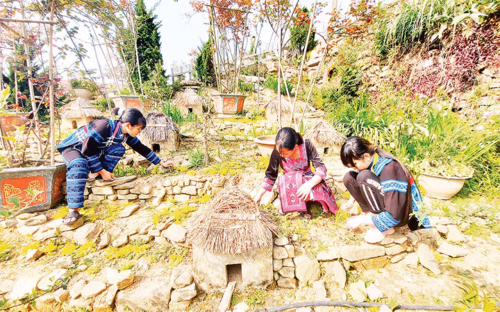 Trường học Du lịch giữa đại ngàn Y Tý -0