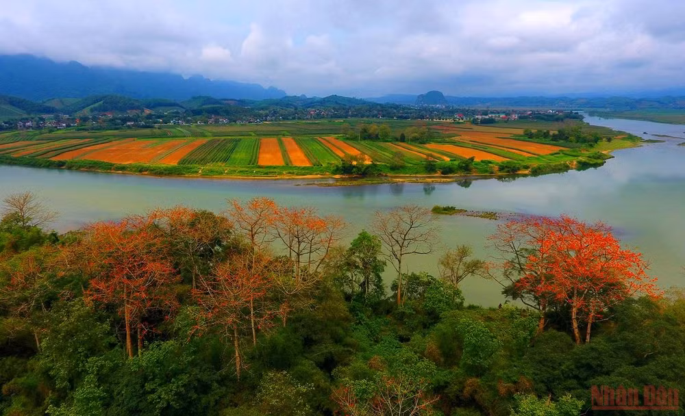 Rực đỏ mùa hoa gạo bên sông Lam -0