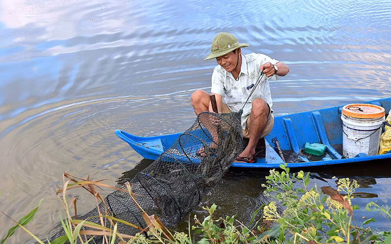 Con tôm tiếp tục được Cà Mau xác định là sản phẩm chủ lực cấp quốc gia, được tập trung phát triển thời gian tới.