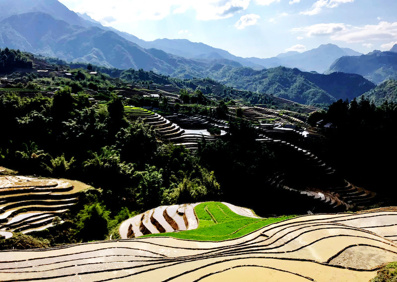 Khung cảnh vùng cao mùa nước đổ. Ruộng bậc thang Sa Pa mùa nước đổ -0