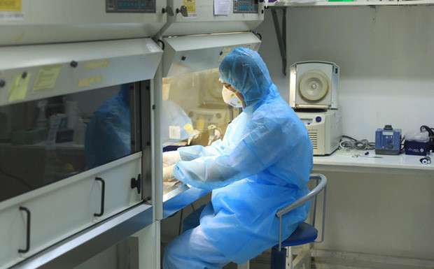 Vì sao test nhanh không có giá trị phát hiện người mang virus SARS-CoV-2? ảnh 1 Vì sao test nhanh không có giá trị phát hiện người mang virus SARS-CoV-2? -0
